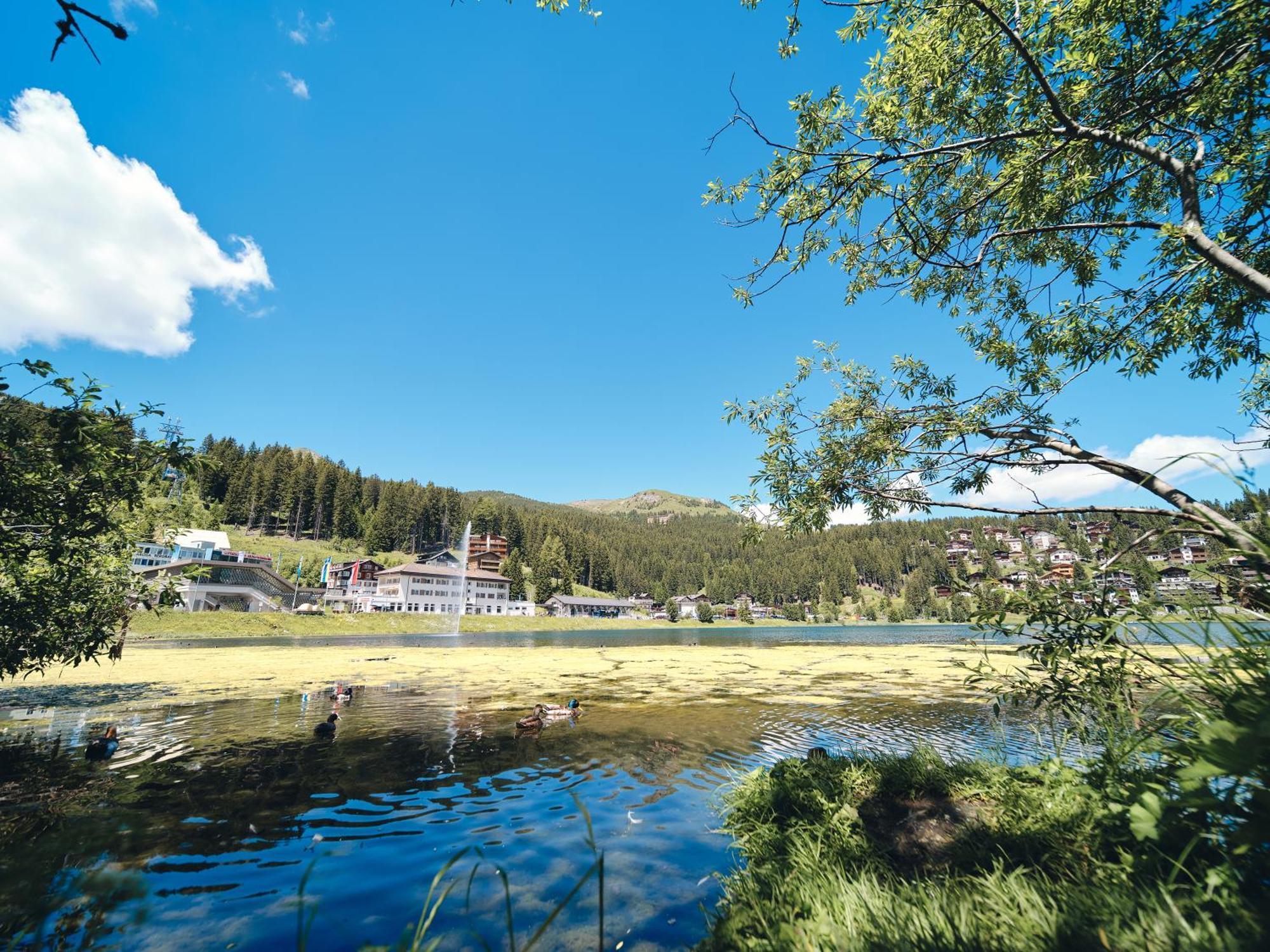 Haus Padrun 8 By Arosa Vacations Apartment Екстериор снимка